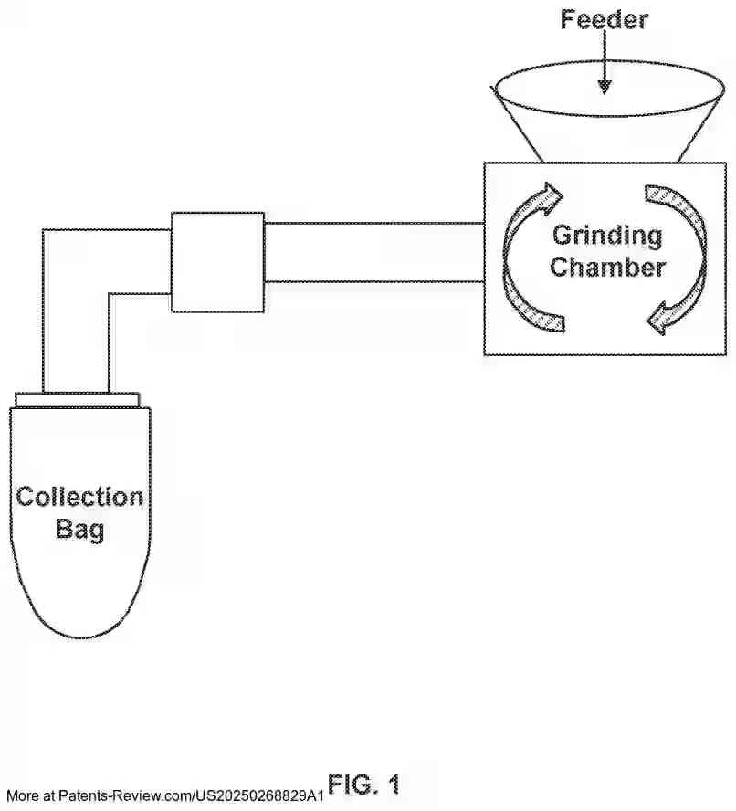 Drawing 02 for INHALED ANTIBACTERIAL FORMULATIONS FOR TREATING LUNG INFECTIONS