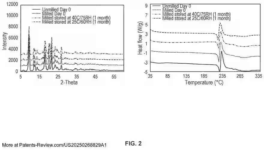 Drawing 03 for INHALED ANTIBACTERIAL FORMULATIONS FOR TREATING LUNG INFECTIONS
