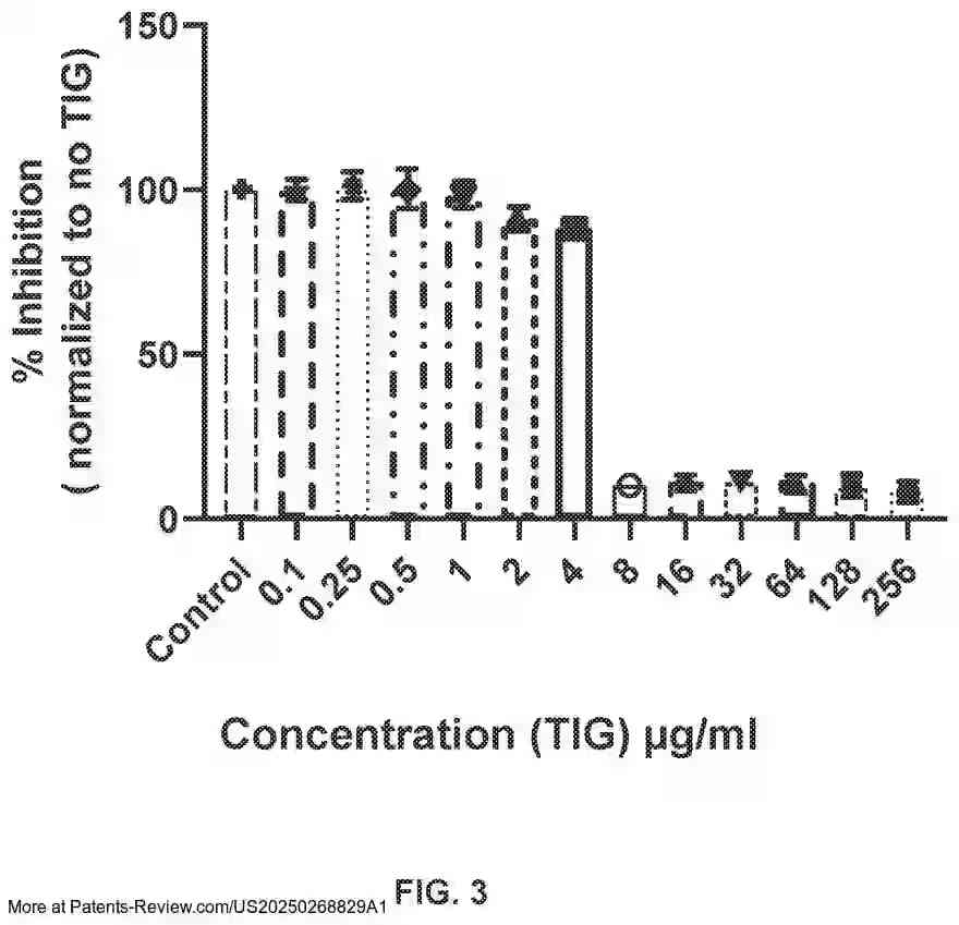 Drawing 04 for INHALED ANTIBACTERIAL FORMULATIONS FOR TREATING LUNG INFECTIONS