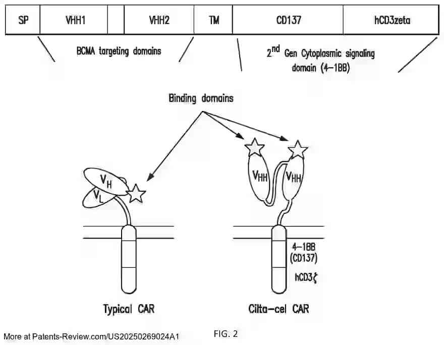 Drawing 03 for BCMA-TARGETED CAR-T CELL THERAPY FOR MULTIPLE MYELOMA