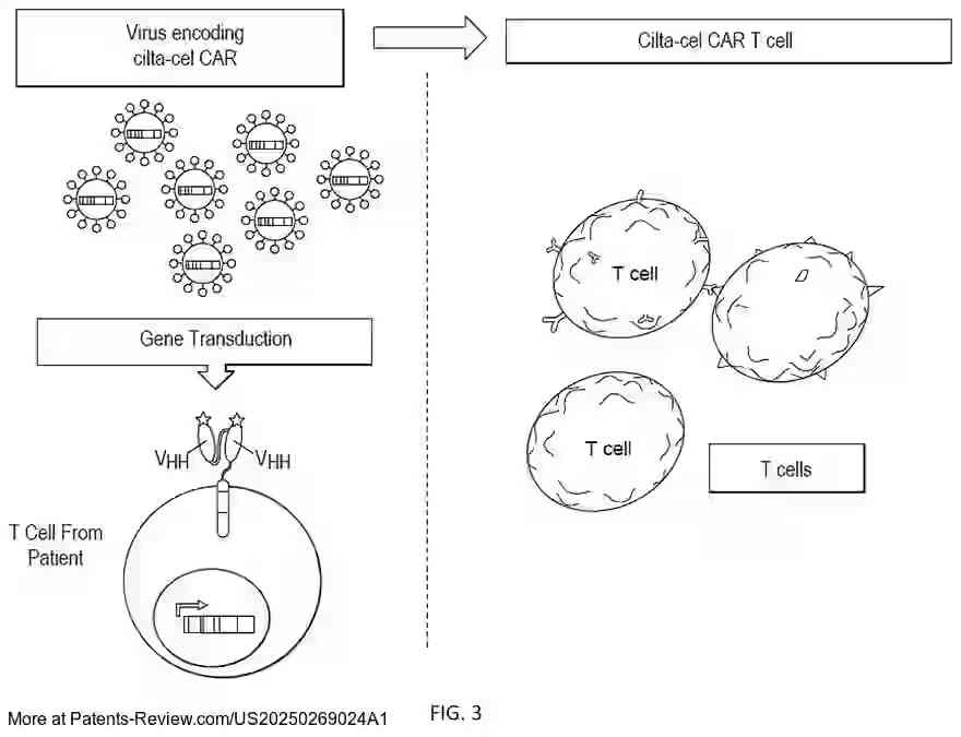 Drawing 04 for BCMA-TARGETED CAR-T CELL THERAPY FOR MULTIPLE MYELOMA