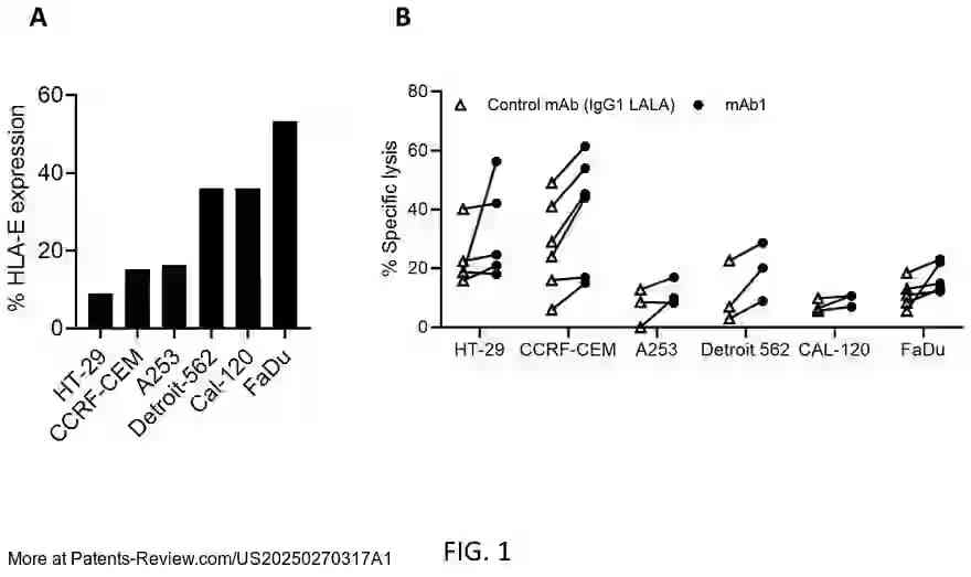Drawing 02 for CANCER THERAPY TARGETING NKG2A