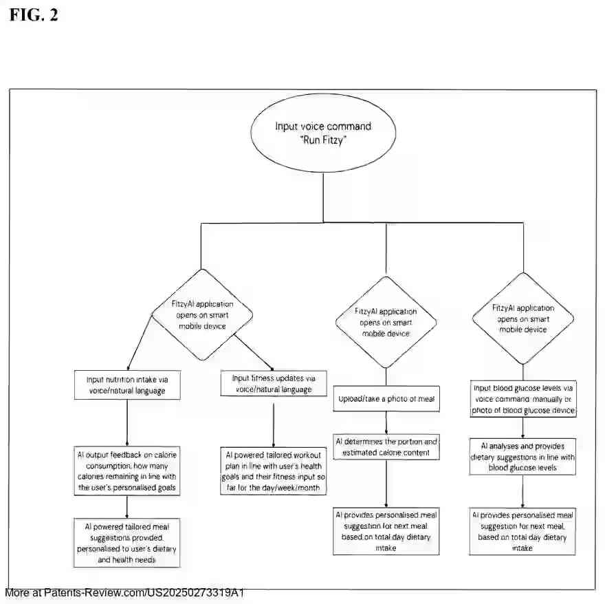 Drawing 03 for Artificial Intelligence Based Method And Application For Assessing Fitness, Blood Glucose Levels And Calorie Consumption With Real Time Feedback