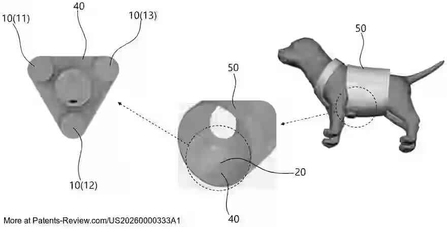 Drawing 01 for SYSTEM FOR MONITORING HEART CONDITION FOR ANIMAL